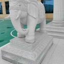 新乡 白麻花岗岩动物异形石雕-大象
