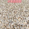 新乡黄金麻中黄荔枝面