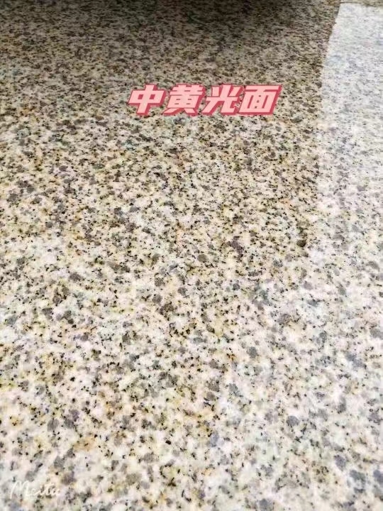 新乡黄金麻中黄光面