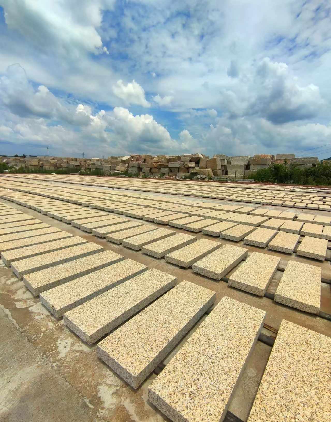 新乡 黄金麻荔枝面花岗岩石材地铺石防护中