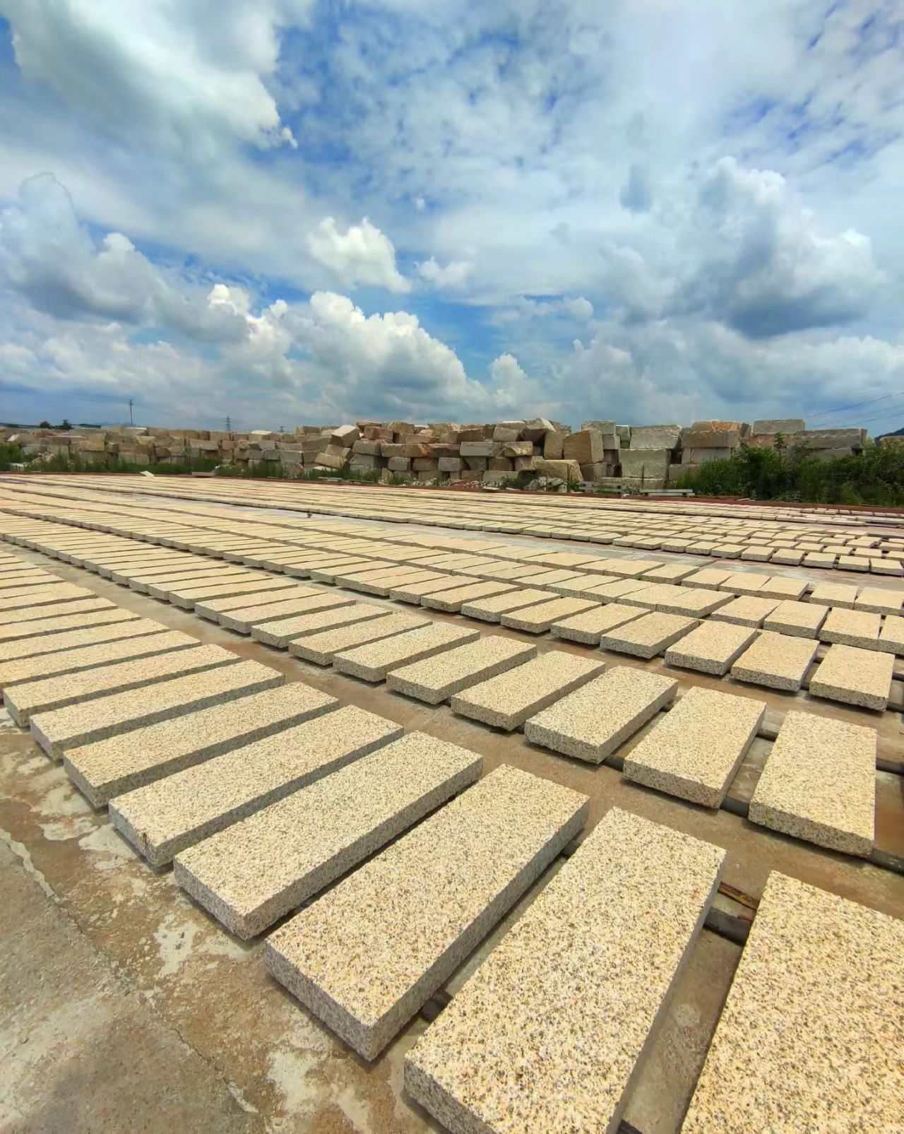 新乡 黄金麻花岗岩荔枝面地铺石防护中